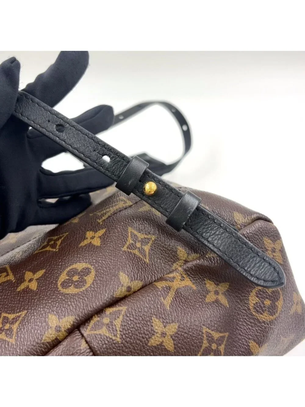 Louis Vuitton Palm Springs PM Monogram Leather Brown Black Backpack Gold